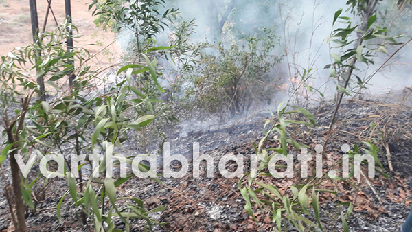 ಪುತ್ತೂರು: ಸಂಟ್ಯಾರ್‌ನಲ್ಲಿ ಗುಡ್ಡಕ್ಕೆ ಬೆಂಕಿ